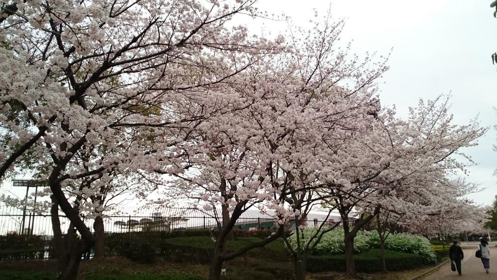 Abiko Guest House Matsubara Dış mekan fotoğraf